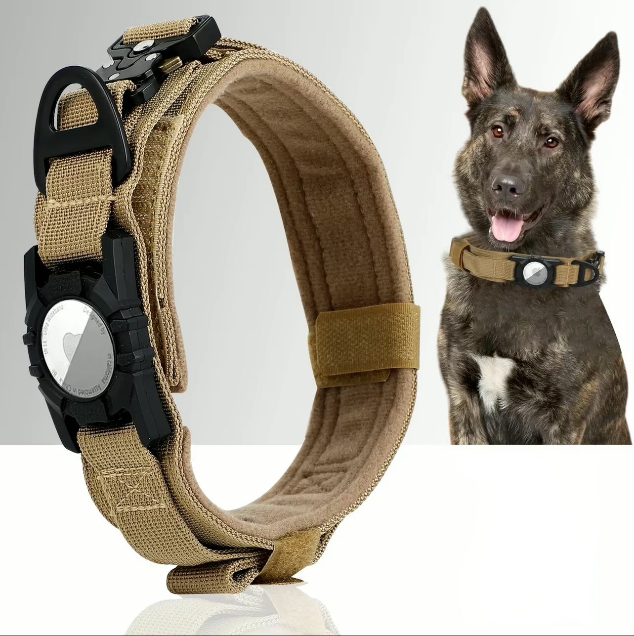 COLLAR ROBUSTO PARA PERROS CON PORTA TAG